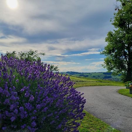 Steinbach an der SteyrUnterbrandlbergアパートメント エクステリア 写真
