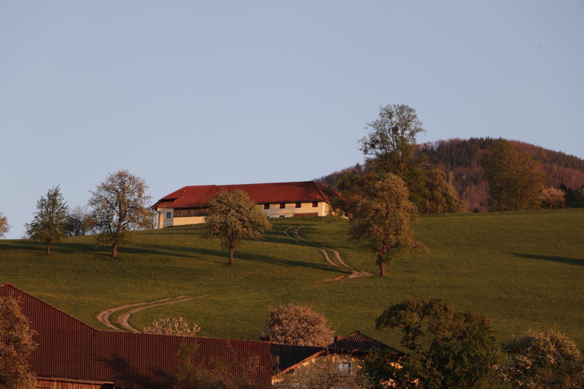 Steinbach an der SteyrUnterbrandlbergアパートメント エクステリア 写真