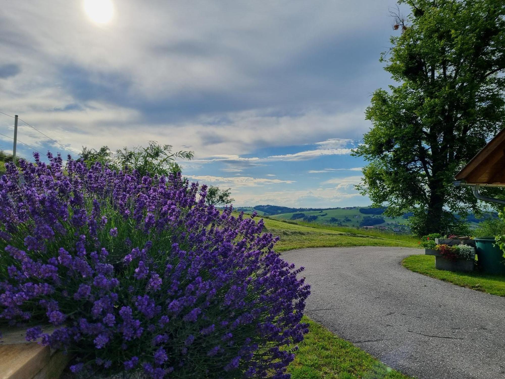 Steinbach an der SteyrUnterbrandlbergアパートメント エクステリア 写真